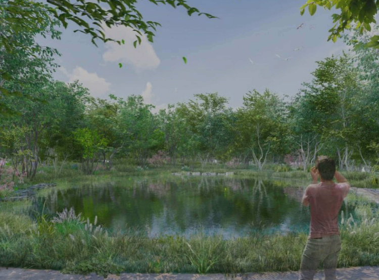 イメージ：「Forests for the future～未来につながる森～｣