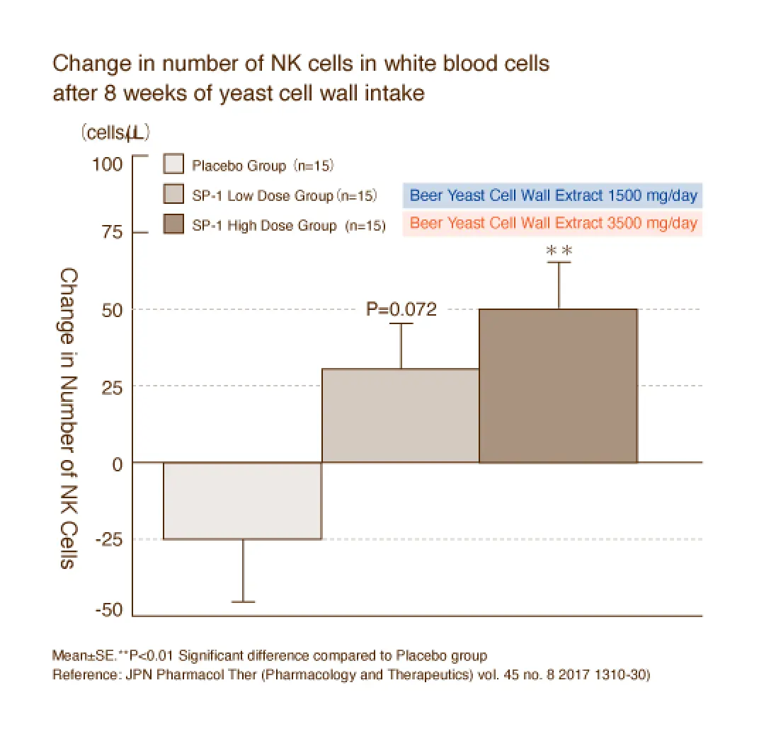 Graph showing Change in number of NK cells in white blood cells after 8 weeks of yeast cell wall intake. Placebo Group (n=15), SP-1 Low Dose Group (n=15) Beer Yeast Cell Wall Extract 1500 mg/day, SP-1 High Dose Group (n=15) Beer Yeast Cell Wall Extract 3500 mg/day. Mean±SE.**P<0.01 Significant difference compared to Placebo group. Reference: JPN Pharmacol Ther (Pharmacology and Therapeutics) vol. 45 no. 8 2017 1310-30)