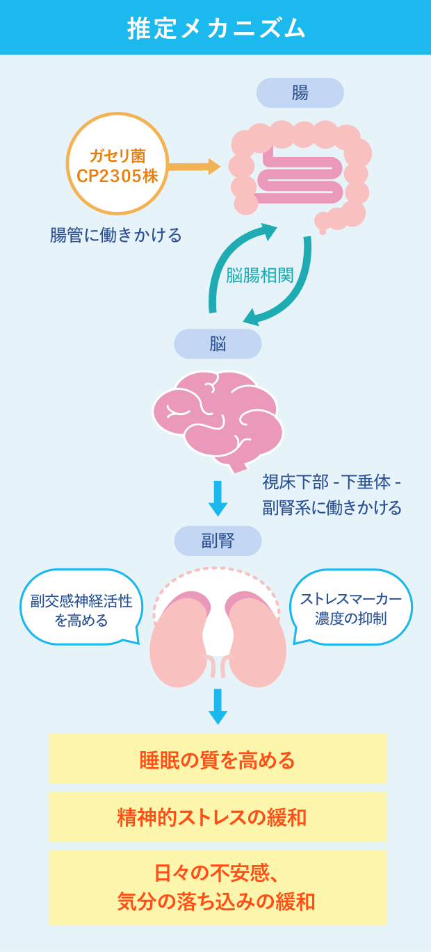 推定メカニズム