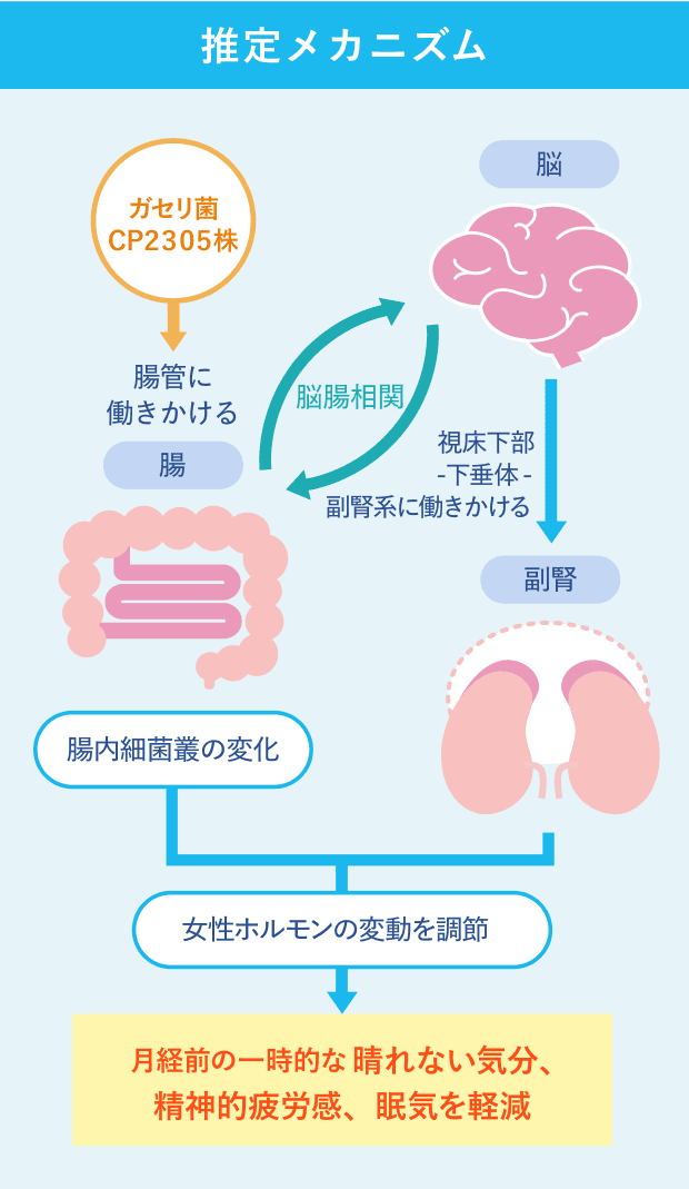 推定メカニズム