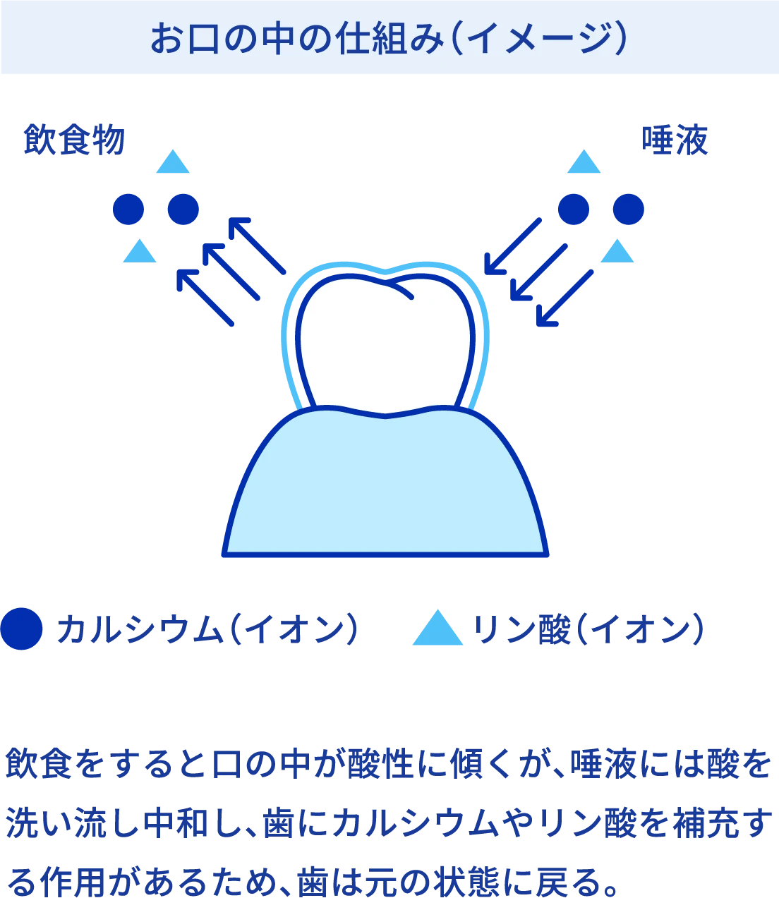 お口の中の仕組み（イメージ） 飲食をすると口の中が酸性に傾くが、唾液には酸を洗い流し中和し、歯にカルシウムやリン酸を補充する作用があるため、歯は元の状態に戻る。